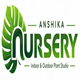 Anshika Nursery